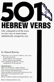 Cover of: 501 Hebrew verbs by Shmuel Bolozky