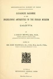Cover of: Catalogue raisonné of the prehistoric antiquities in the Indian Museum at Calcutta