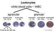 Atlas of haematology