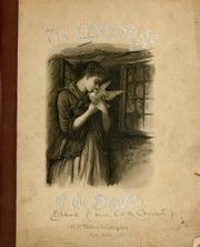 Cover of: The message of the dove