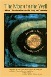 Cover of: The Moon in the Well: Wisdom Tales to Transform Your Life, Family, and Community