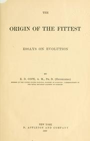 Cover of: The origin of the fittest: essays on evolution.