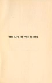 Cover of: The Life of the Spider