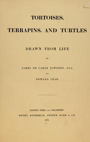 Cover of: Tortoises, terrapins, and turtles drawn from life