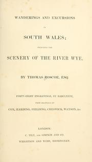 Wanderings and excursions in South Wales by Thomas Roscoe