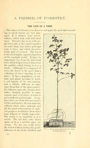 Cover of: primer of forestry.