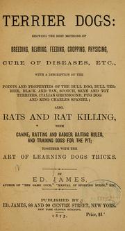 Cover of: Terrier dogs: showing the best methods of breedings, rearing, feeding, cropping, physicing, cure of diseases, etc. ..