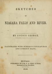 Cover of: Sketches of Niagara Falls and river