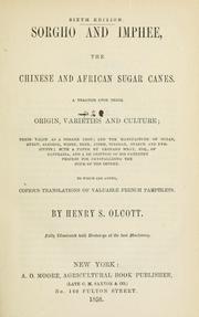 Cover of: Sorgho and imphee, the Chinese and African sugar canes by Henry S. Olcott