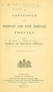 Cover of: Catalogue of the Tertiary and Post Tertiary fossils in the Museum of Practical Geology.