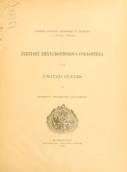 Cover of: Tertiary Rhynchophorous Coleoptera of the United States by Samuel Hubbard Scudder