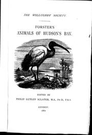 Cover of: Forster's animals of Hudson's Bay