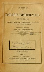 Cover of: Étude monographique des pleurotomaires actuels by E.-L Bouvier