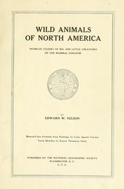 Cover of: Wild animals of North America, intimate studies of big and little creatures of the mammal kingdom. by Edward William Nelson