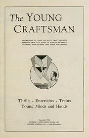 Cover of: The Young Craftsman: Descriptions of over 450 easy craft projects reprinted from past issues of Popular mechanics magazine, What-to-make,and other publications...