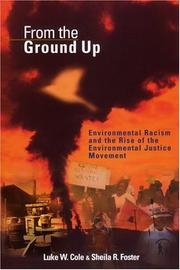 Cover of: From the ground up: environmental racism and the rise of the environmental justice movement