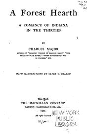 Cover of: A forest hearth: a romance of Indiana in the thirties