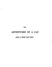 Cover of: The adventures of a cat, and a fine cat too!