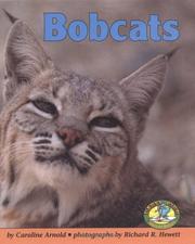 Cover of: Bobcats
