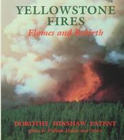 Cover of: Yellowstone fires: flames and rebirth