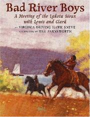 Cover of: Bad River boys: a  meeting of the Lakota Sioux with Lewis and Clark