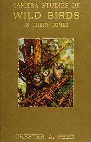 Cover of: Camera studies of wild birds in their homes