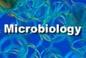 Cover of: Microbiology Study Guide