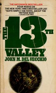 Cover of: The 13th valley, a novel by John M. Del Vecchio