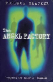 Cover of: The angel factory