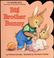 Cover of: Big Brother Bunny