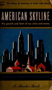 Cover of: American skyline: the growth and form of our cities and towns