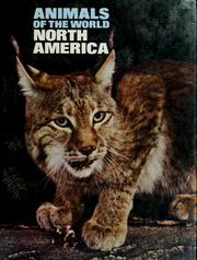 Cover of: Animals of the world: North America by by Eric Powell [and others]