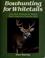 Cover of: Bowhunting for whitetails