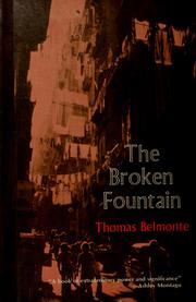 Cover of: The broken fountain