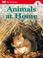 Cover of: Animals at Home