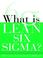 Cover of: What is Lean Six Sigma