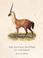Cover of: The Natural History of Unicorns