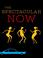 Cover of: The Spectacular Now