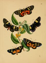 Cover of: The cabinet of oriental entomology: being a selection of some of the rarer and more beautiful species of insects, natives of India and the adjacent islands, the greater portion of which are now for the first time discribed and figured