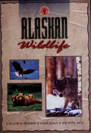 Cover of: Alaskan wildlife : a collection of photographs of Alaskan wildlife in their natural habitat. by 