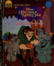 Cover of: Disney's the Hunchback of Notre Dame: Quasimodo's new friend