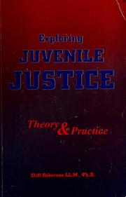 Cover of: Exploring juvenile justice