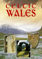 Cover of: Celtic Wales by John Watney