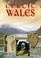 Cover of: Celtic Wales