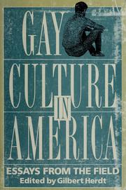 Cover of: Gay culture in america: essays from the field