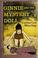 Cover of: Ginnie and the mystery doll.