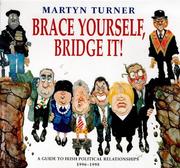 Brace yourself, bridge it! : a guide to Irish political relationships, 1996-1998