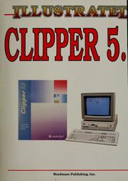 Illustrated Clipper 5.0 by John Mueller