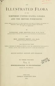 Cover of: An illustrated flora of the northern United States, Canada and the British possessions: from Newfoundland to the parallel of the southern boundary of Virginia and from the Atlantic Ocean westward to the 102nd meridian