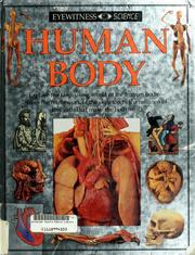 Cover of: Human body by Steve Parker